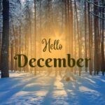 Jorge Alan Marroquin Espinosa