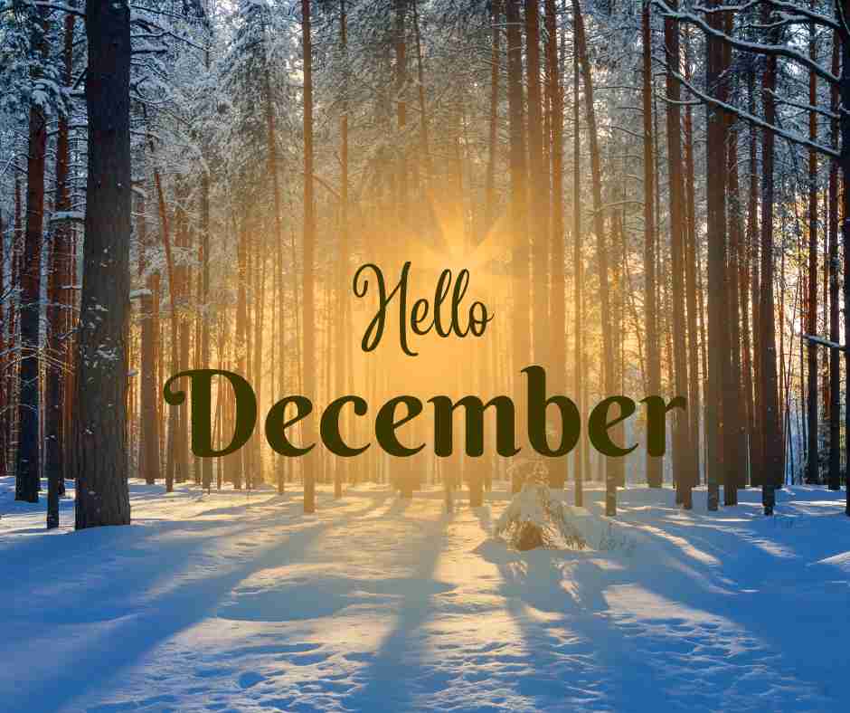 Jorge Alan Marroquin Espinosa